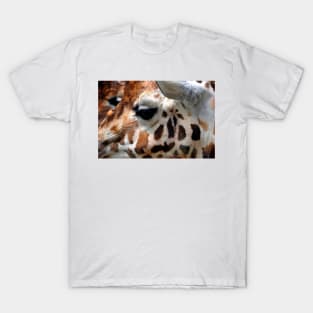 African Giraffe Amelopardalis Giraffa T-Shirt